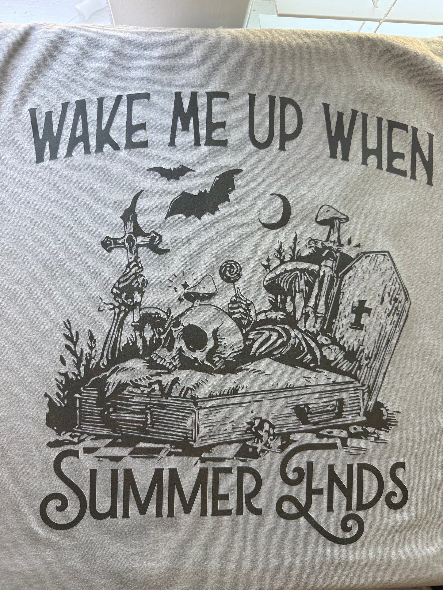 Wake Me Up When Summer Ends