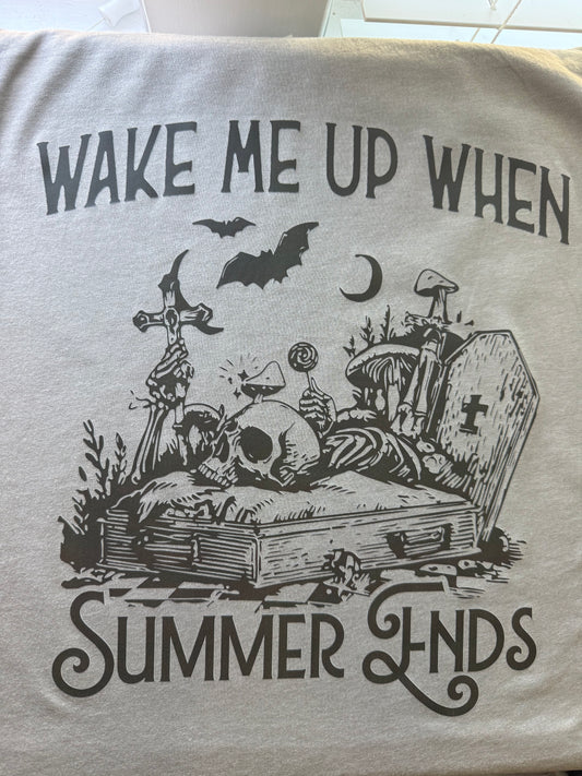 Wake Me Up When Summer Ends